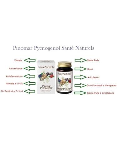 Buy Pinomar Sant with Pycnogenol Capsules - Boost Your Health with Natural Antioxidants | International Shipping Available - Buy Online on GoSupps.com