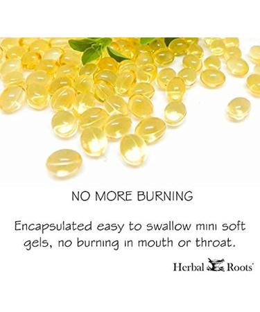 Herbal Roots Oil of Oregano Softgel Capsules - Extra Strength 150mg - Made in USA - 90 Easy to Swallow Capsules - Buy Online on GoSupps.com