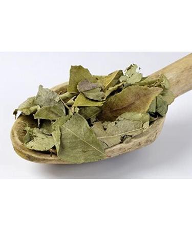 RAW HERB/JADI BOOTI KADI PATTA KARI LEAF MEETHA NEEM CURRY LEAVES (500gm) - Buy Online on GoSupps.com