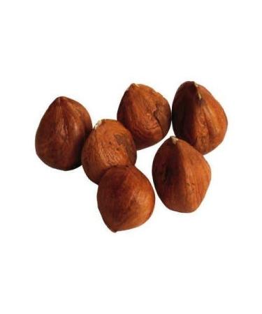 Raw Hazelnuts - Filberts (1 lb) 1 Pound Filberts