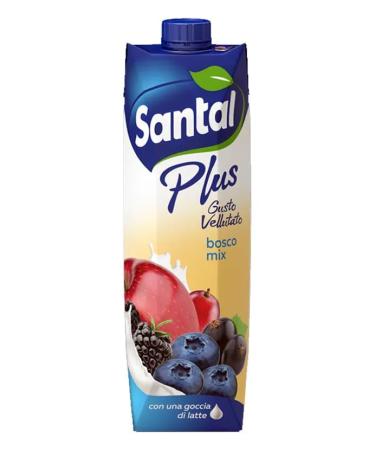 SANTAL Succhi wild fruits, 1 l