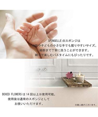 Spongelle Flower Boxed Bath Mitts Scented with French Lavender - 14+ Uses - Buy Online on GoSupps.com