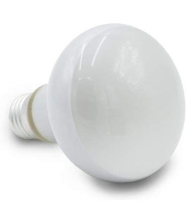Terra Exotica 75W Heat Spot Bulb for Reptiles - 3 Pack Terrarium Lighting - Optimal Heat for Reptile Habitats - 25W 40W 60W 100W 150W Options Available - Buy Online on GoSupps.com