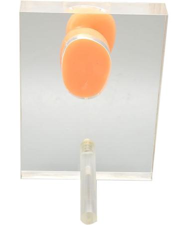 Silicone Right Ear Model with Fine Details - Ideal for ENT Hospitals - Buy Online on GoSupps.com