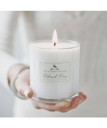 Shop Soap & Paper Factory Roland Pine 9.5 oz Large Soy Candle - Premium Eco-Friendly Fragrance for International Shipping - Buy Online on GoSupps.com