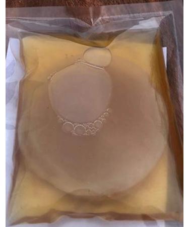 IBIV Kombucha Scoby Starter Culture for Raw Premium Fermented Tea - Live Strong & Healthy with Over 1/4 Cup Starter Tea (Makes 1/4 Gallon) - Buy Online on GoSupps.com