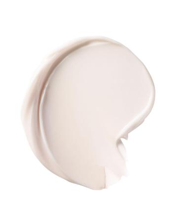 Laura Mercier Serum Body Cream Ambre Vanille 13.5 Ounce (Pack of 1) - Buy Online on GoSupps.com