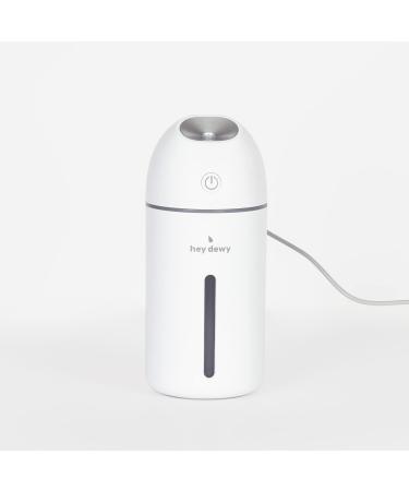 Hey Dewy Portable Facial Hydrating Cool Mist Humidifier (Wired Version)