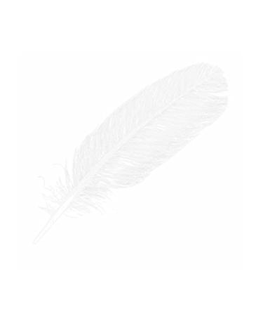 Derek Lam 10 Crosby Silent St. Eau De Parfum Musky and Floral Scent Spray Perfume for Women 5.9 Fl Oz 5.9 Fl Oz (Pack of 1) Silent St. - Buy Online on GoSupps.com