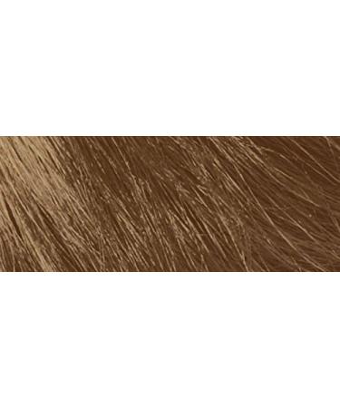 naturerbe Color Herb Extracts Bio Dyeing 15 Golden Blonde - Buy Online on GoSupps.com