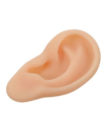 Healifty 1pc Silicone Ear Human Ear Model Imitation Ear Simulation Silicone Tool Silicone Teaching Model Ear Mold Ear Models Ear Silica Gel 3D Care Products Beige Ear Model for Teaching