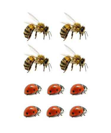 SanerLian Bee Ladybug Temporary Tattoo Stickers - Set of 12 | Waterproof Cartoon Fake Tattoos for Kids | Ideal for Hand, Arm, Party Favors - Buy Online on GoSupps.com