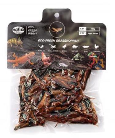 ProBugs EcoFresh Bulk Graashoppers APPR 90pcs 150g
