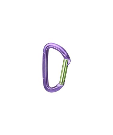 Wild Country Session Straight Gate Carabiner - Purple/Green