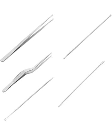 Healifty 10pcs Cleansing Spoon Portable Wax Removal Tools Kit - Ear Cleaner Picks Care, Steel Pick for Digging, Wax Remover Scoop - 14x0.5cmx2pcs - Buy Online on GoSupps.com