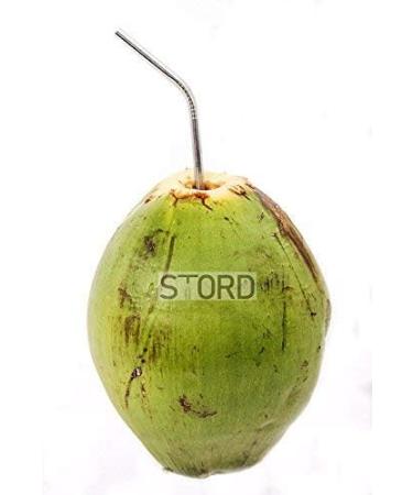 Stord Coconut Opener - Open Fresh, Young White Coconuts in Seconds - Buy Online on GoSupps.com
