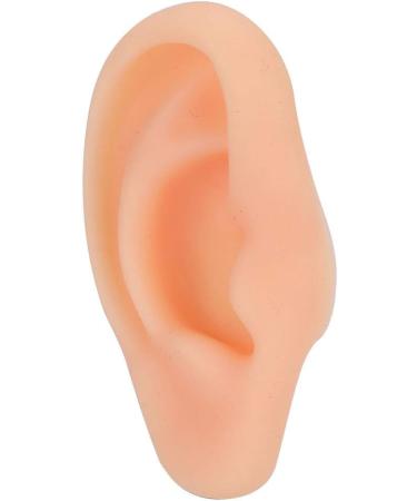 Silicone Acupuncture Ear Model - Professional Simulated Teaching Tool (Right Ear) - Buy Online on GoSupps.com