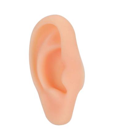 Silicone Fake Ear Model - Professional Acupuncture & Massage Teaching Tool (Right Ear) - Buy Online on GoSupps.com