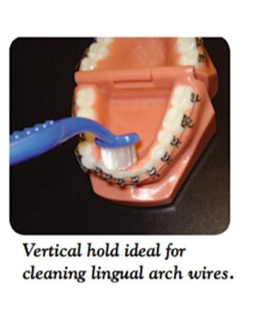 Curvex II Toothbrush - Advanced ergonomic design for superior cleaning - Buy Online on GoSupps.com