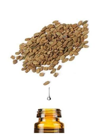 Sant d Orient Bockshorn Clover Oil 60ml - Premium Natural Wellness Fast International Shipping - Buy Online on GoSupps.com