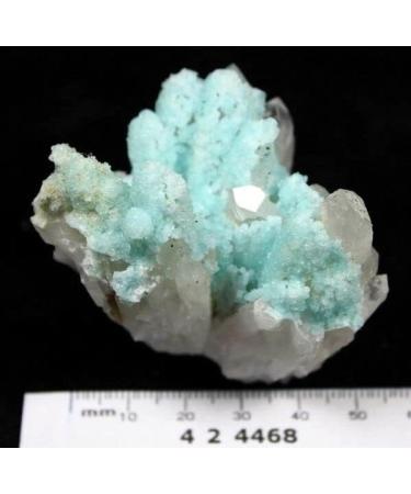 95g Fresh Blue Hemimorphite On Quartz Cluster Specimen China CM424468 JZIGTDEM - Buy Online on GoSupps.com