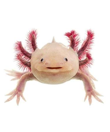 Specxs microfibre cloth - Animal - Axolotl - suitable for all optical surfaces (18x18cm) - washable