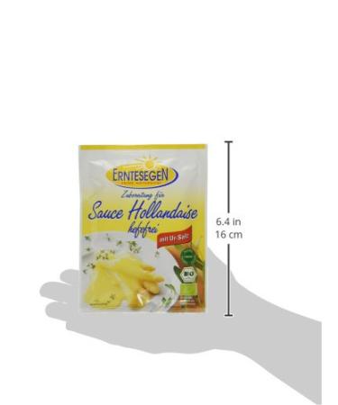 Buy Erntesegen Organic Hollandaise Sauce 0.2L - Pack of 12 | Premium Culinary Delight for International Shipping - Buy Online on GoSupps.com