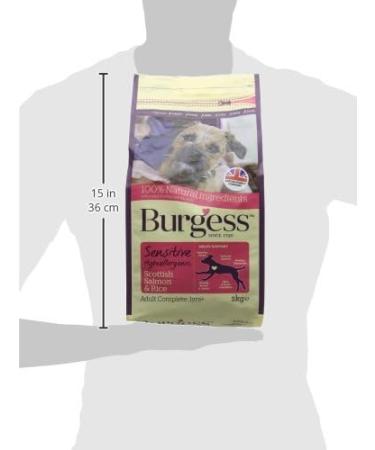 Burgess Sensitive Scottish Salmon & Rice 2kg - Buy Online on GoSupps.com