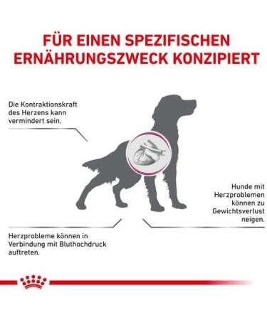 Royal Canin VET DIET Cardiac 12x 410 g Lebensmittel & Getr nke  - Buy Online on GoSupps.com