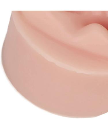 Ear Model Portable Jewelry Display 1 Pair Practice Ear Model for Piercing Salon for Novice (Medium Skin Color) - Buy Online on GoSupps.com