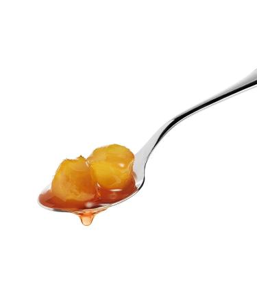 Fabbri Ginger with Syrup 21 oz - Authentic Italian Flavor - 1 Count - Buy Online on GoSupps.com