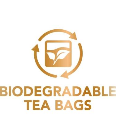 Barry's Tea Gold Blend 600 Biodegradable Black Tea Bags - Buy Online on GoSupps.com
