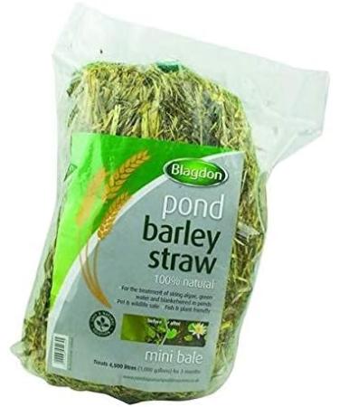 Blagdon Small Pond Barley Straw Bale - Clears Algae & Green Water - Natural Solution for Ponds up to 4500 Litres - Buy Online on GoSupps.com