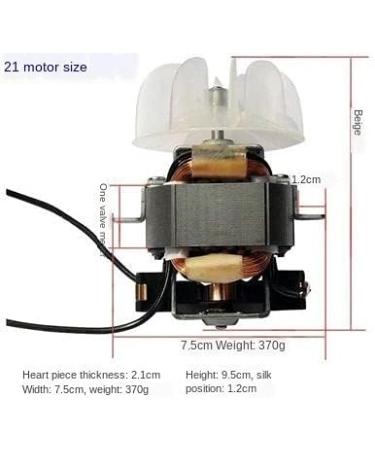 Professional high-Power Hair Dryer Motor AC Hair Dryer No. 21 with Fan Blades (Suitable Range 2000W-2400W) - Buy Online on GoSupps.com