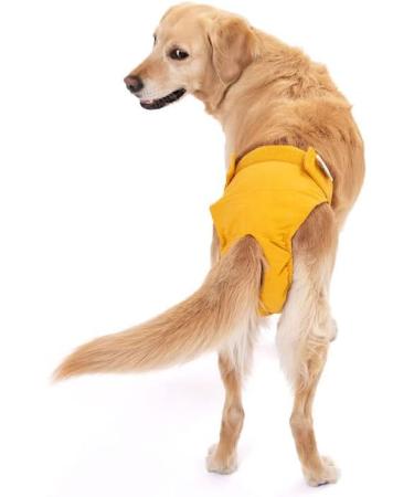 Shop Lills Fuse Pants for Women - Organic Cotton Washable Flexible Closure Extra Absorbent | XS to XXL - Amber Yellow - Buy Online on GoSupps.com