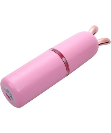 DINESA New Mini USB Rechargeable Nano Hydrator Sprayer Women Beauty Instruments Home Use Humidifier Face Steamer Easy to Use Pink - Buy Online on GoSupps.com