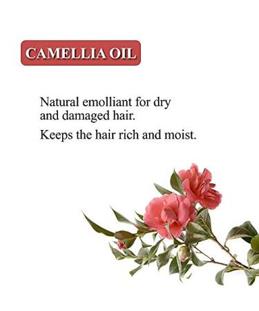 Karma Naturals Green Tea Shampoo Bar - Nourishing Haircare for Healthy Locks | Eco-Friendly & International Shipping - Buy Online on GoSupps.com