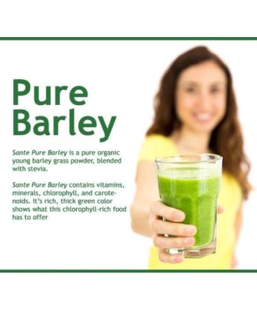 Buy Sante Barley New Zealand Organic Barley Grass Powder Juice with Stevia - 30 Sachets (90g) for International Shipping | Pure & Natural Health Supplement - Buy Online on GoSupps.com