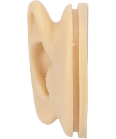Human Right Ear Model Human Ear Model Clear Internal External Structure Soft Silicone Waterproof for Ear Learning for Suppliers - Buy Online on GoSupps.com