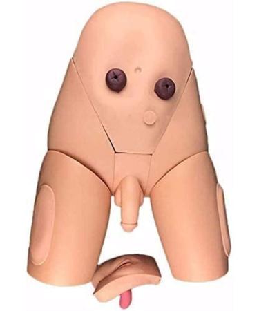 Buy Catheterization Model - Male & Female Urethral Simulator Kit for Medical Training | International Shipping - Buy Online on GoSupps.com
