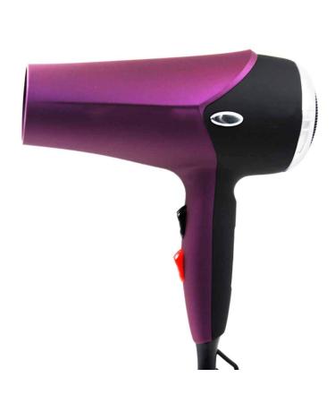 2300W Hairdryer Professtional Hair Dryer Blow Dryer Salon Hairdryer 2 Speed 3 Heat Setting AC Motor Eliminate Static Electricity Overheating Protection Constant Temperature for Home Travel