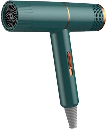 Professional Hair Dryer Infrared Negative Ionic Blow Dryer Hot&Cold Wind Salon Hair Styler Tool Hair Electric Blow Drier Blower (Type 1 Green) - Buy Online on GoSupps.com