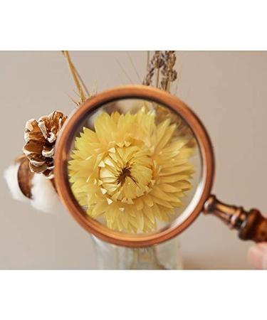 Glass 10 Times High-Grade Retro Wooden Handle Portable Children Students Elderly Reading Recognition Maintenance Elderly Glass HD Lens 90MM Good Times - Buy Online on GoSupps.com