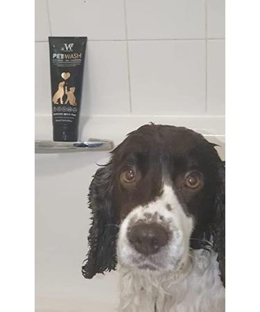 Pet Dog Shampoo for Itchy Skin Antifungal Dogs & Cats Shampoo Sensitive Skin. Ready to use. Skin Cooling First Aid | Skin Relief For Rashes Cuts Grazes Mange Skin Irritation - Buy Online on GoSupps.com