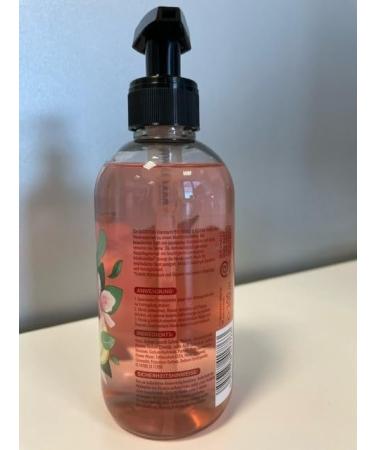  Sagrotan Sagrotan Invigorating and Floral Hygienic Soap - Moisturizing Liquid Soap with Floral Scent - 5 x 300ml Hand Soap - Buy Online on GoSupps.com