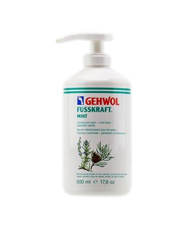 WEWOL FUSTRATION MINT 500ML