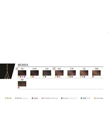 L'Or al Professionnel Majirel 4 Chestnut Permanent Hair Color Beauty Cream Covers up to 100% of White Hair & Provides Shine and Intense Color 50 ml - Buy Online on GoSupps.com