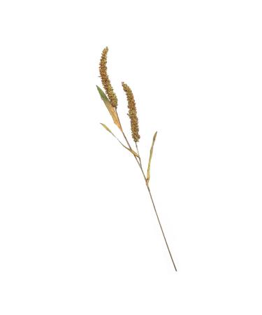 Zerodeko 2pcs Simulated Ears of Corn Dried Wheat Decor Vegetable Plants Dried Wheat Stalks for Decorations Thanksgiving Bouquets Home Decor Fake Grass Decor House Artificial Pu Ornaments Greenx2pcs 12X75CMx2pcs