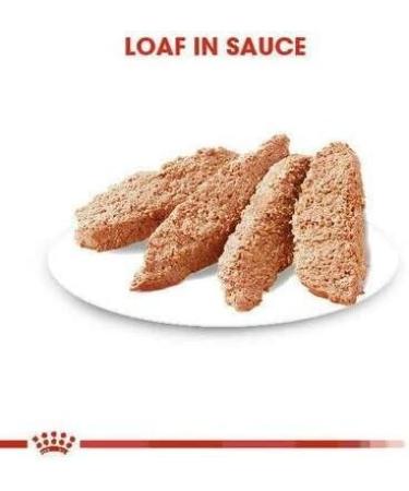 Royal Canin Digestive Care Adult Wet Dog Food 85g (Pack of 24) - Buy Online on GoSupps.com