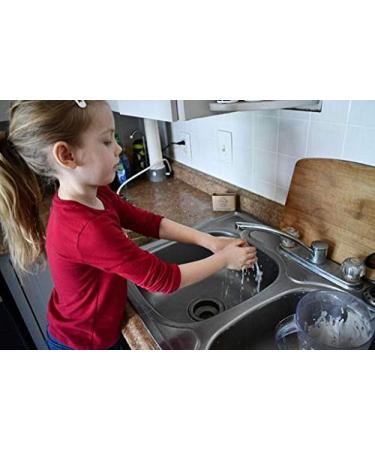 Shop Jenny Joy's Pinon Pine Salve & Soap (4 oz) - Natural Healing & Moisturizing Worldwide Shipping Available - Buy Online on GoSupps.com